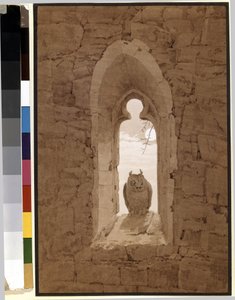 Owl in a Gothic Window