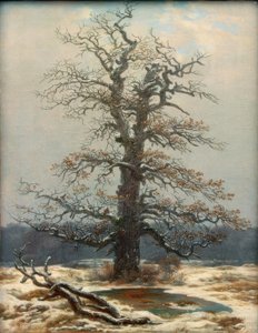 Oak in the Snow by Caspar David Friedrich