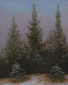 Spruce Thicket in the Snow (From the Dresden Heath I) by Caspar David Friedrich