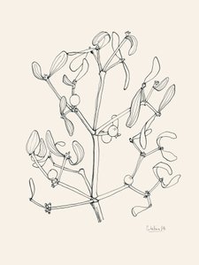 Holiday Mistletoe Line Art