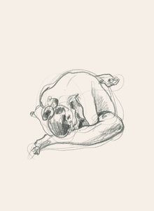 Quiet Curled Figure by Catalina Somolinos