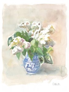 Soft White Flowers Blue Pitcher