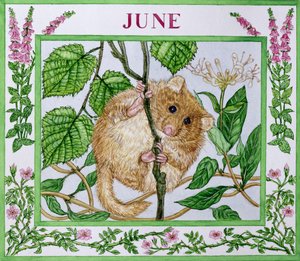 June