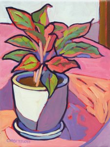 Cabana Plant, 2024