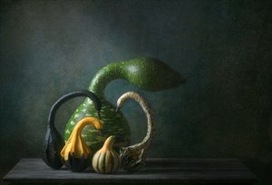 Autumn Gourds Still Life