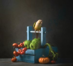 Autumn Parrot Still Life