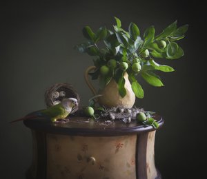 Green Parrot Still Life