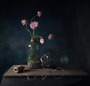 Rustic Daisy Still Life