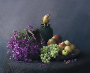 Still Life with Parrot
