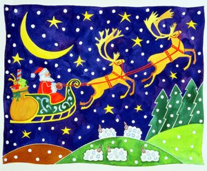 Stars and Snowfall by Cathy Baxter