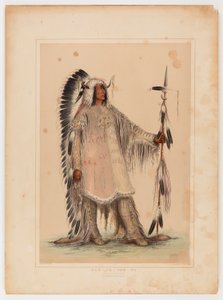 Mah-to-toh-pa, the Mandan Chief by Catlin, George