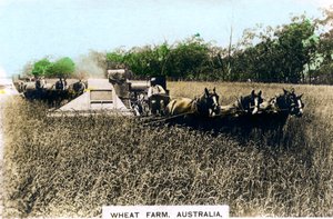 Grenfell wheat farm, Australia