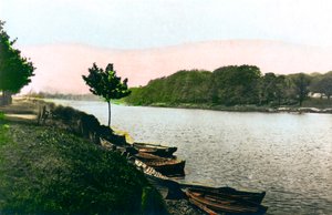 The River Tyne at Hexham, Northumberland by Cavenders Ltd