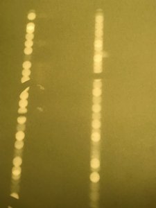 Composition - Light