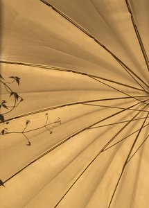 Composition - Lights by Cécile Jamet