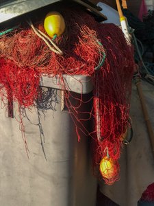 Composition - Nets by Cécile Jamet