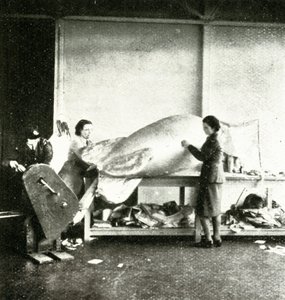 Repairing Barrage Balloons
