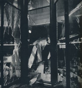 Show Cases in the Natural History Museum by Cecil Beaton