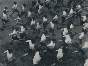 The Field by Cecil Beaton