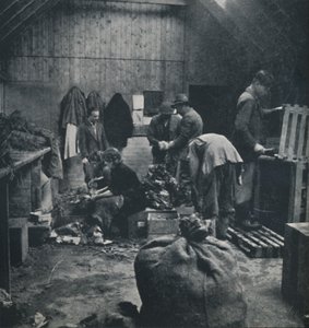 Vegetables for Market by Cecil Beaton