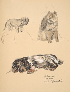 Pekinese, Chow and Spaniel, 1930, Illustrations from his Sketch Book used for Just Among Friends, Aldin, Cecil Charles Windsor, later Published by Eyre and Spottiswoode Limited, 1934