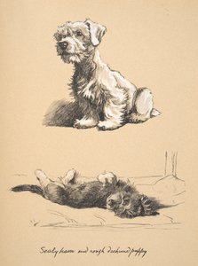 Sealyham and Rough Dachshund Puppy, 1930, Illustrations from His Sketch Book Used for Just Among Friends, Later Published by Eyre and Spottiswoode Limited, 1934
