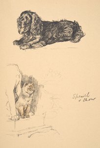 Spaniel and Chow, 1930, Illustrations from his Sketch Book used for Just Among Friends
