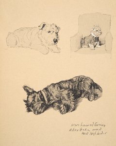 Wire-Haired Terrier, Aberdeen and West Highlander, 1930, Illustrations from his Sketch Book used for Just Among Friends