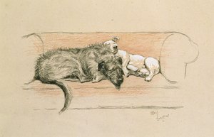 Wolfhound and Bull Terrier Asleep on a Sofa