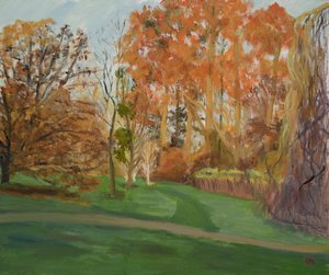 November Sun on the Redwoods by Celia Montague