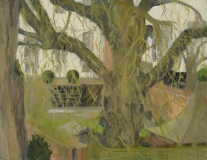 Park Town Garden, Oxford by Celia Montague