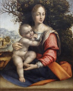 Madonna and Child (Our Lady of the Tree) by Cesare da Sesto