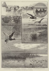 Duck-Shooting at Long Point Island, on Lake Erie (engraving) by Charles (after) Whymper