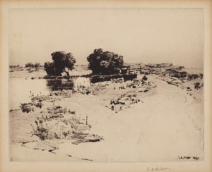 Cape Ann Willows by Charles A. Platt