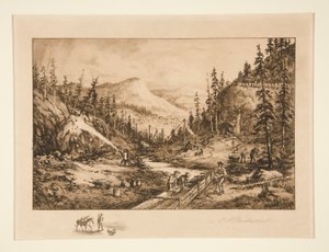 Gold Prospectors in California