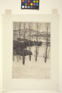 The Mountain by Charles Adams Platt