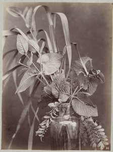 Flower Study with Glass Bottle by Charles Aubry (manner of)