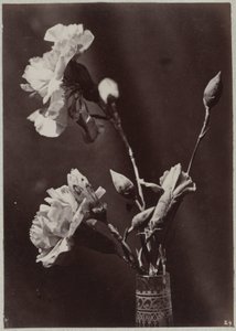 Flower Study with Glass Vase by Charles Aubry (manner of)