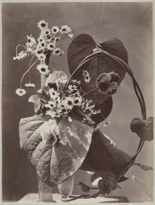 Flower Study with Glass Vases by Charles Aubry (manner of)