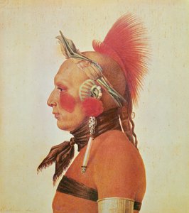 An Osage Warrior