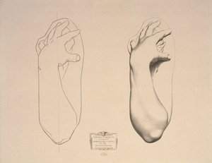 Bent Arm of a Woman, plate 22 from Cours de Dessin Volume I, Modeles dapres la bosse, c.1868 by Charles Bargue