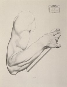 Impression on Gray Paper, 1868 by Charles Bargue