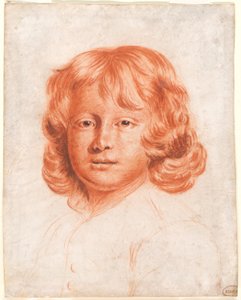 Portrait of a Young Boy