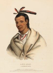 A-MIS-QUAM, A WINNEBAGO BRAVE, from History of Indian Tribes of North America by Charles Bird King