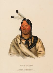 Esh-Ta-Hum-Leah, a Sioux Chief, from History of the Indian Tribes of North America