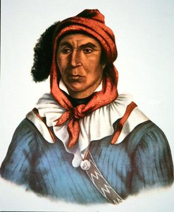 Julcee Mathla by Charles Bird King
