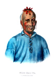 Kishkalwa, a Shawnee Chief by Charles Bird King