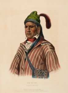ME-NA-WA. A CREEK WARRIOR, from History of the Indian Tribes of North America by Charles Bird King