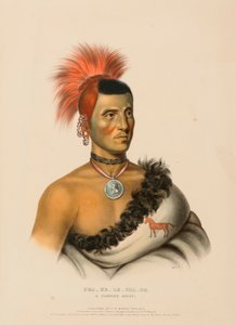 PES-KE-LE-CHA-CO, A Pawnee Chief, from History of the Indian Tribes of North America by Charles Bird King