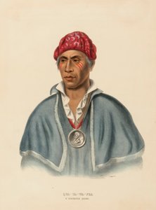 Qua-ta-wa-pla, A Shawanoe Chief, from History of the Indian Tribes of North America by Charles Bird King